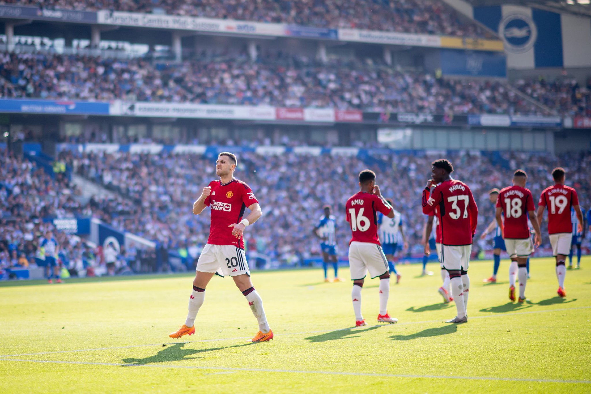 处理球迷的 处理球迷的